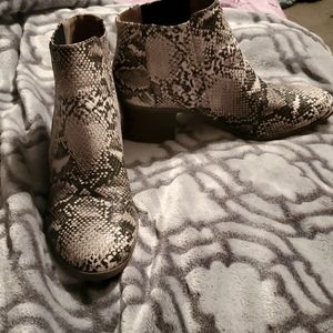 Maurices snake skin boots